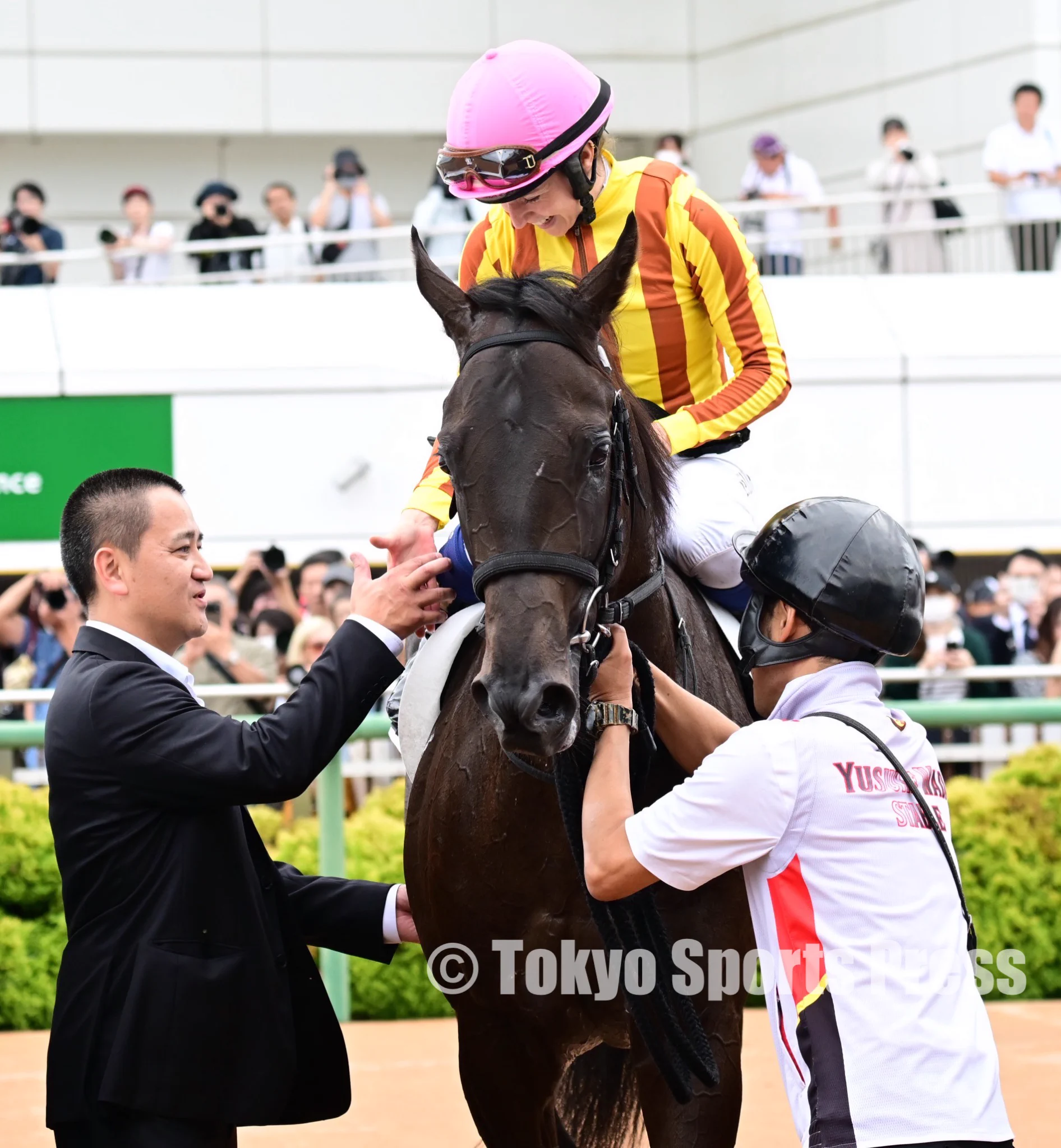 東スポ 写真映像部 na platformě X: „【競馬】#ミカエル・ミシェル が