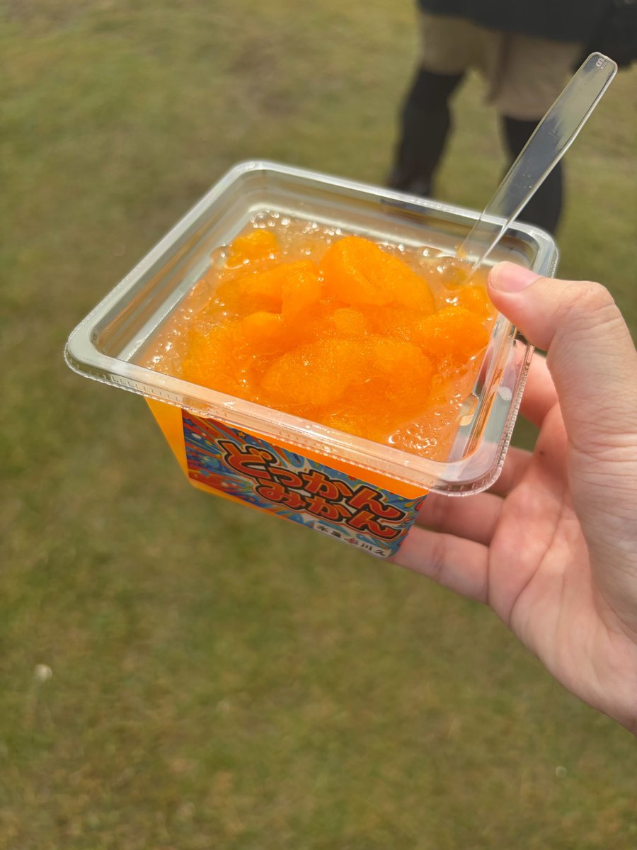 Grell1105's tweet photo. 9/13トレジャー2026
フェス飯？1食目
「どっかんみかん」🍊

パックの中には缶詰のみかんが果汁ごと凍ってる😳😳
程よく溶けて美味しい👍
MARS STAGEの後ろ
#トレジャー2026
#フェス飯 https://t.co/x673VTzlNr