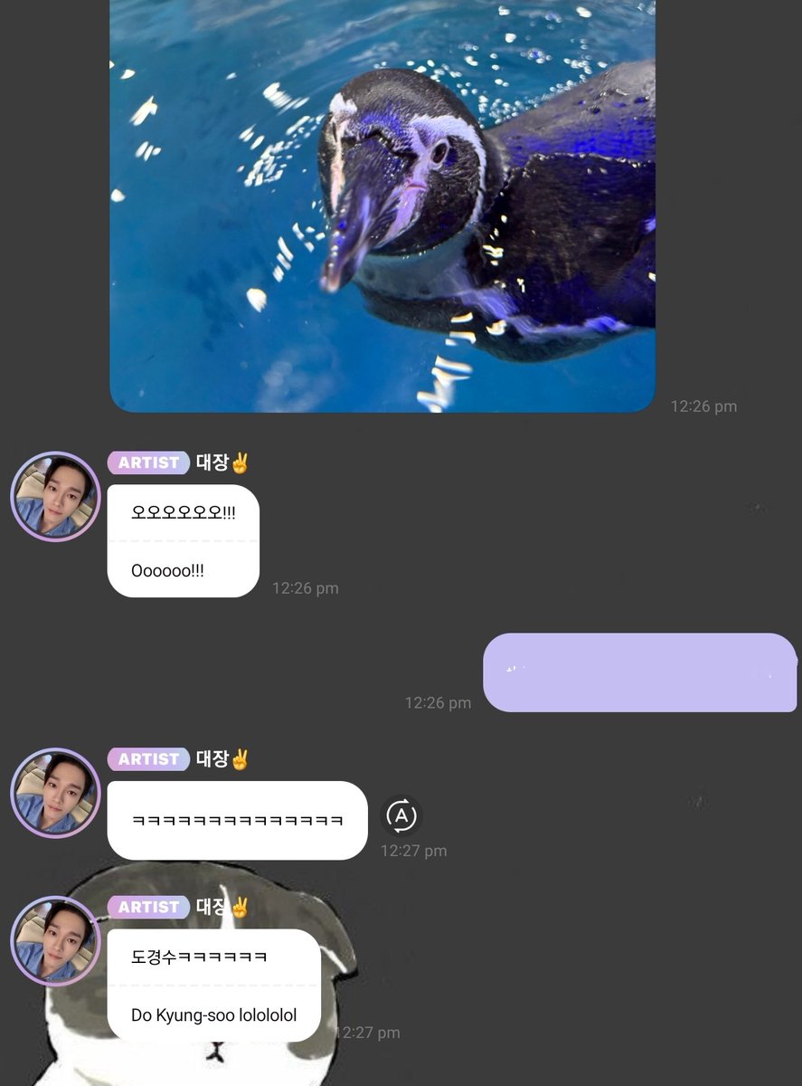 WITHKINGJD's tweet photo. Jongdae mentioned Kyungsoo after sending a photo of a penguin in bubble!!!!! chensoo!!! 😭

#CHEN #첸 #김종대 #종대 https://t.co/o9YAI3EjwX