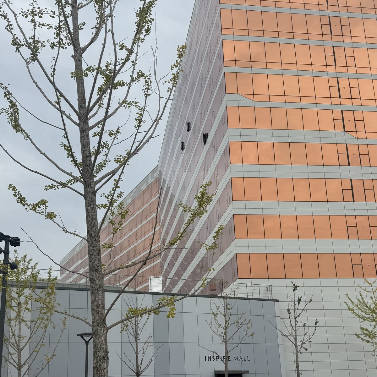 ddnotdd_uary's tweet photo. 여기에 있어요!  제가 잠시 자리를 비웠다면  마음에 드는 걸로 편하게 골라서 가져가시면 돼요~ 🧡 https://t.co/3S4SCa13Jo
