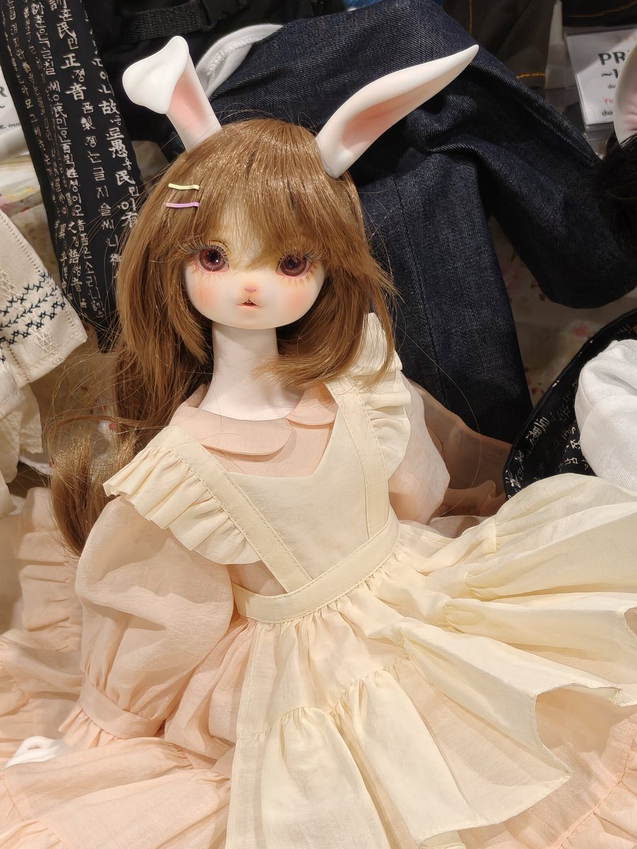 meriko_doll's tweet photo. ディアマさんの可愛い子ちゃんたち
(アイドール大阪にて) https://t.co/qGAow1jvzC