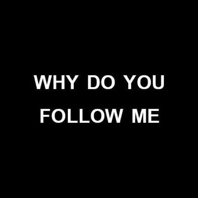Specter_Wolfdog's tweet photo. https://t.co/6u7KMuKV4O