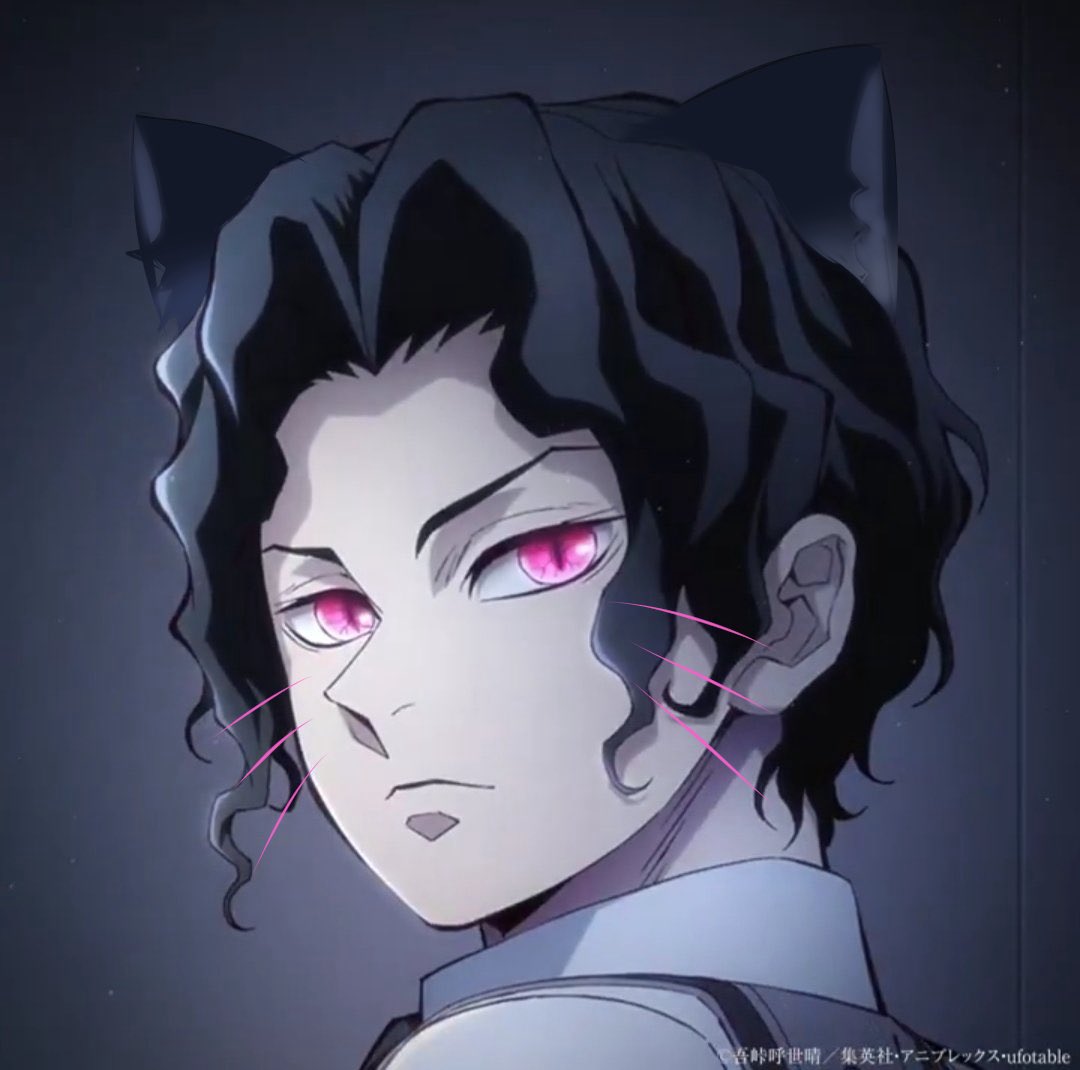 Kibu_Tan99's tweet photo. 無惨🐱
🥰🥰🥰 https://t.co/RKGjlK6SQC