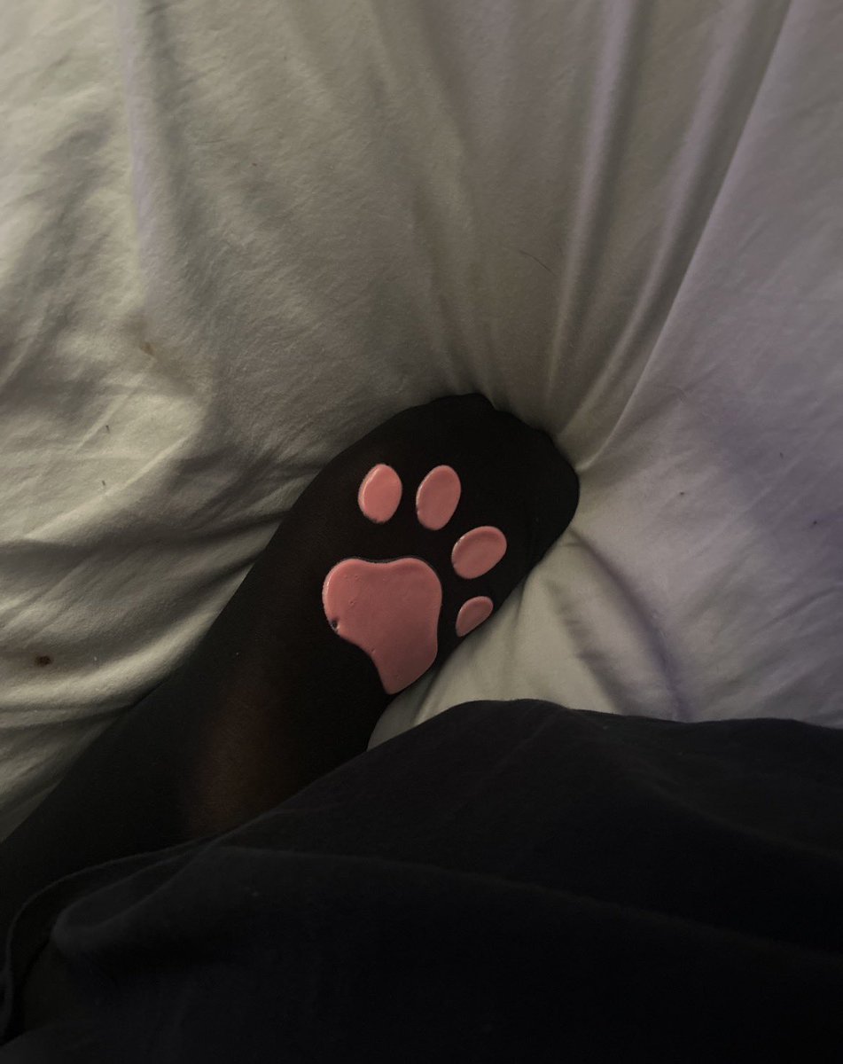 ririkittenn's tweet photo. I neeed robuxxx >.< pweasee I’ll be somones good little puppy            zᶻ
૮˶- ﻌ -˶ა⌒)ᦱ
#discord #ekitten #puppygirl #gamergirl #roblox
#robux https://t.co/R749orNCQU