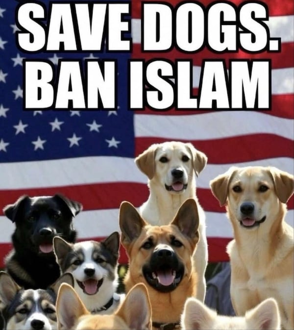 827js's tweet photo. Save our dogs. https://t.co/21xw0CB76R