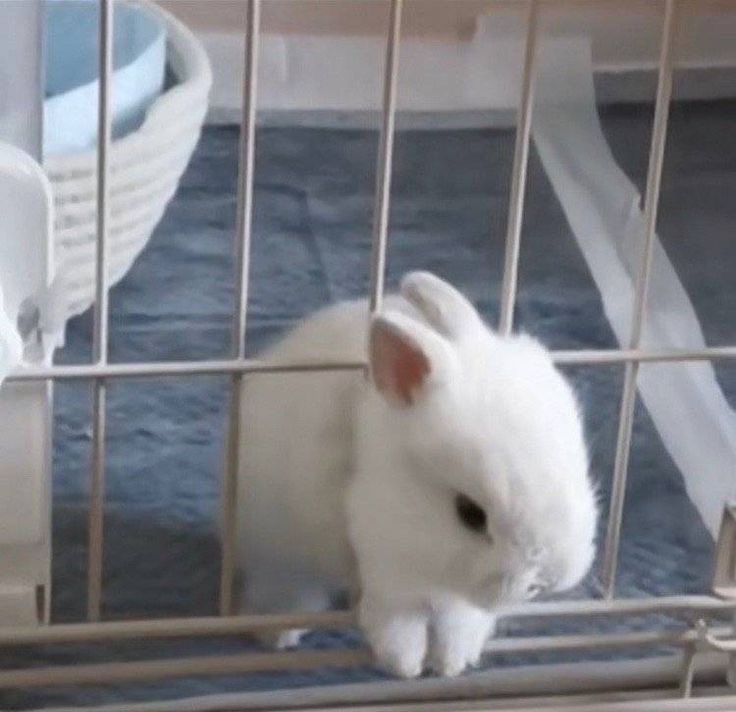 flutterbunbun's tweet photo. https://t.co/n6sKnAvj7J