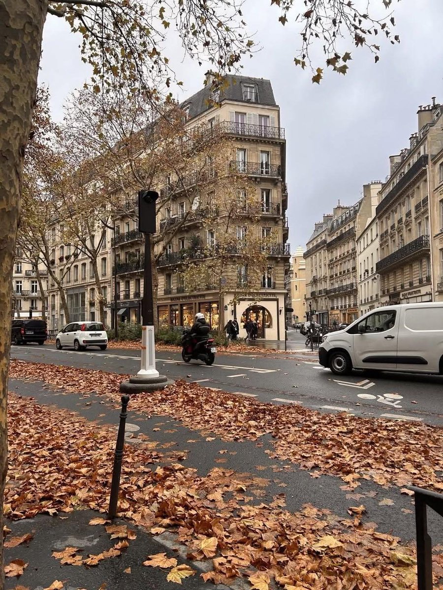 naturebeauty760's tweet photo. Fall in Paris, France 🇫🇷 https://t.co/AVYgK6j6Un