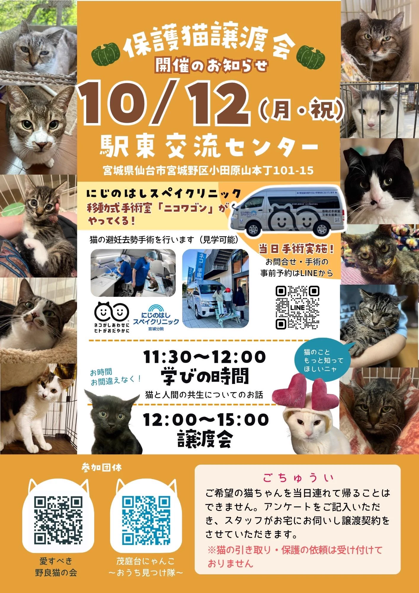 茂庭台にゃんこ〜おうち見つけ隊〜@10/12(月祝)保護猫譲渡会 on X: 