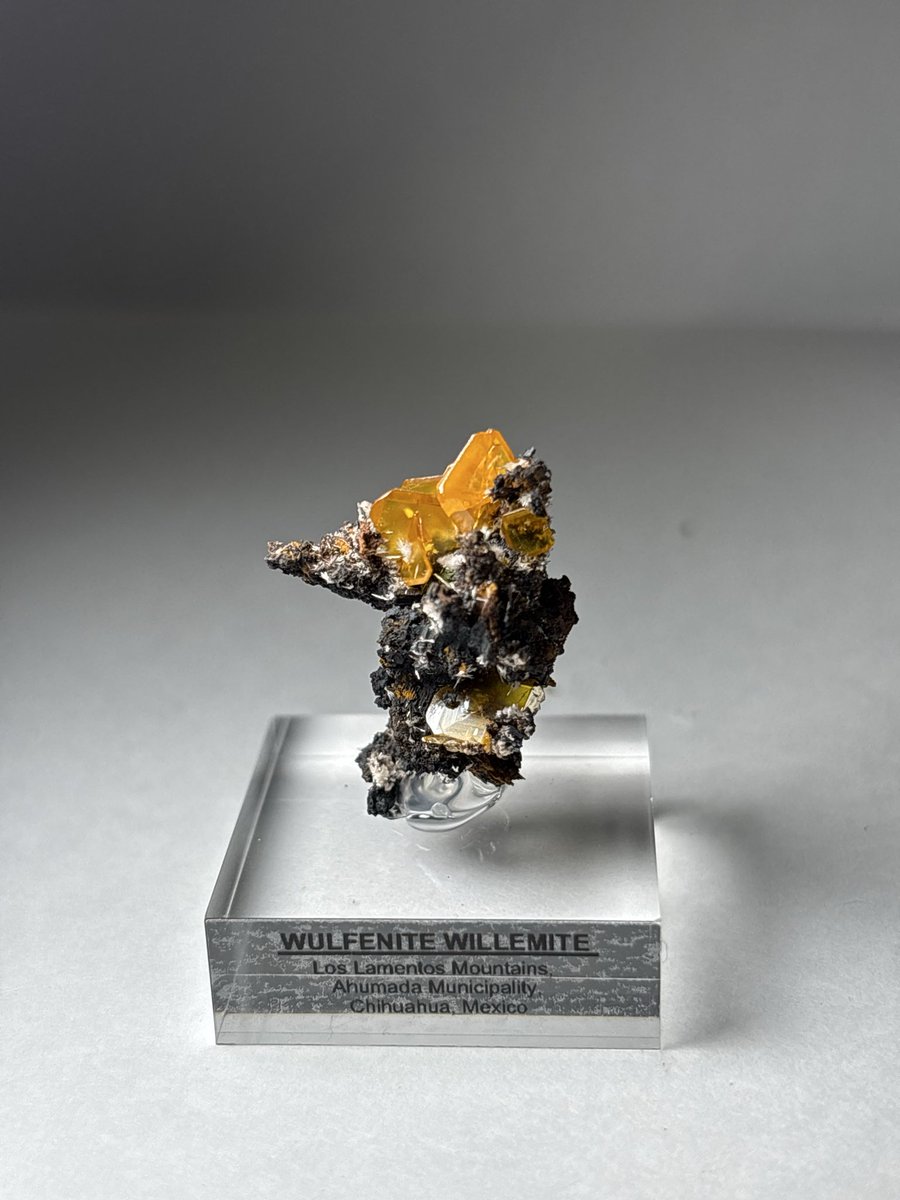 Shtone14's tweet photo. @codexminerals コーデックスさんで去年の静岡ミネラルザワールドでお迎えしたウルフェナイト2/2
板状の結晶がザクザクでこちらもまとまりがよい🤤景色良！
#wulfenite https://t.co/3NZjFAuMtS