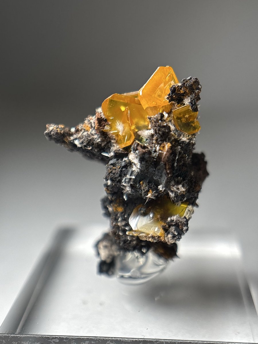 Shtone14's tweet photo. @codexminerals コーデックスさんで去年の静岡ミネラルザワールドでお迎えしたウルフェナイト2/2
板状の結晶がザクザクでこちらもまとまりがよい🤤景色良！
#wulfenite https://t.co/3NZjFAuMtS