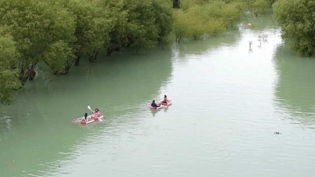 TibetNews11's tweet photo. Zona umida di Yanni: trasformare la bellezza #ecologica in valore economico https://t.co/AO9bYIdzee