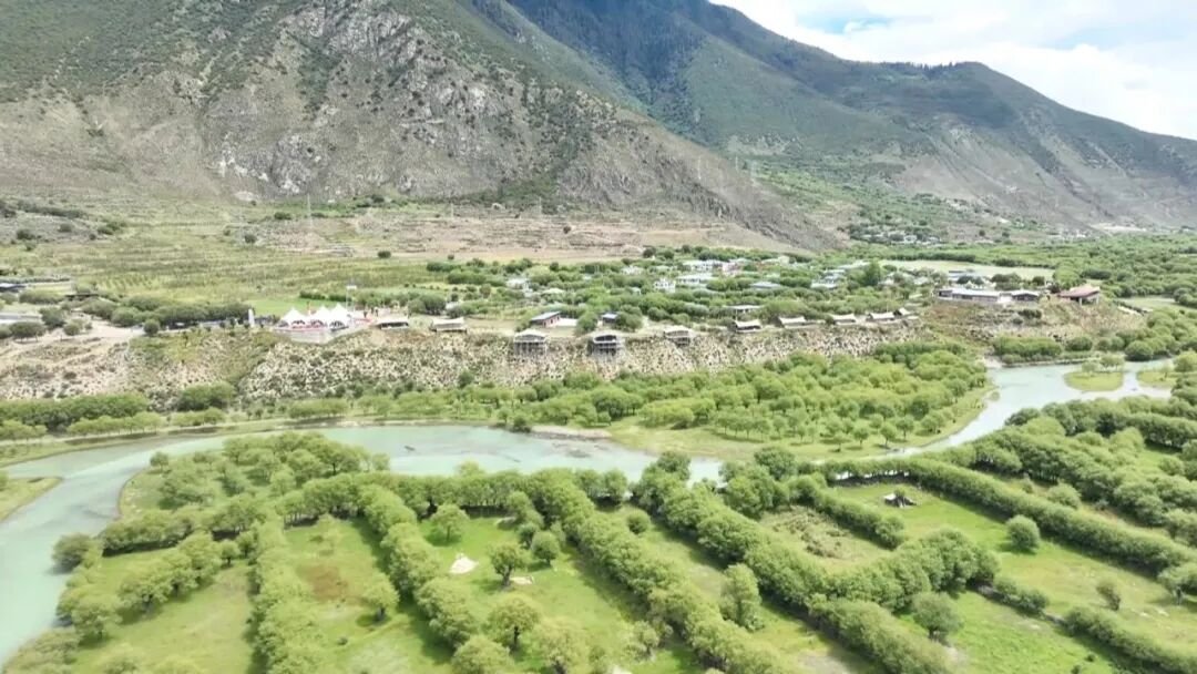 TibetNews11's tweet photo. Zona umida di Yanni: trasformare la bellezza #ecologica in valore economico https://t.co/AO9bYIdzee