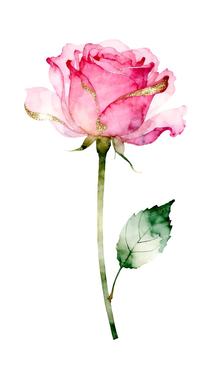 shizeeart's tweet photo. A delicate watercolor rose blooming in dreamy shades of blush pink, beautifully adorned with shimmering gold accents. Soft, graceful, and romantic, this floral artwork captures the timeless beauty of a rose with an elegant touch of luxury. 🌸💗✨ #watercolorart #ROSÉ #FlowersOnX https://t.co/cXBQhXduAc