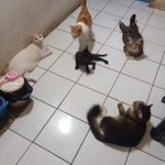 Photo by Novi Damping (@DampingNovi)