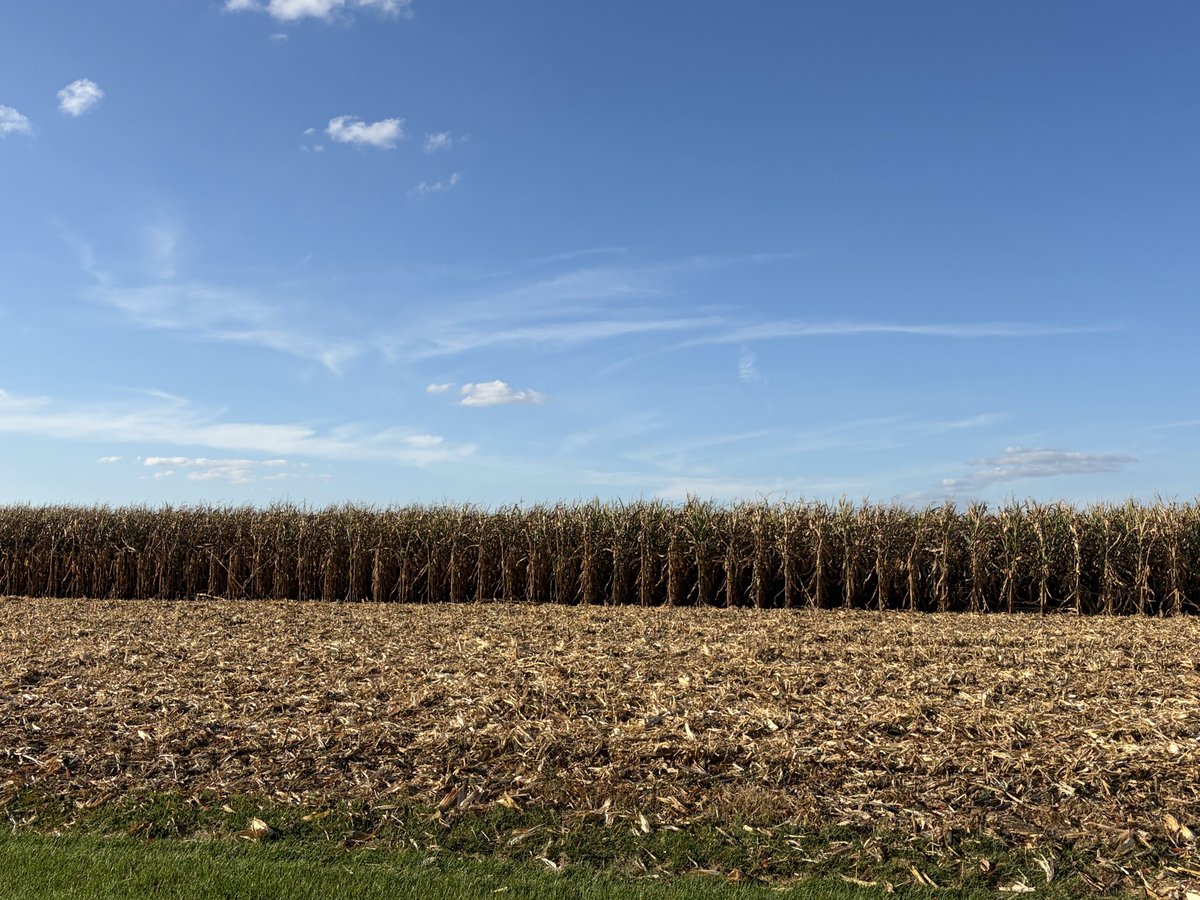 drsarahebuck's tweet photo. September = 🌽 Harvest has started in Whiteside County, Illinois!
#AgChat #NWIllinois Pic taken on Friday, September 11, 2026 https://t.co/jhoOW1W6MF