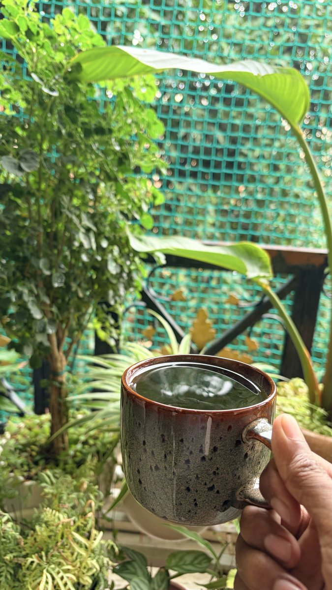thisismk27's tweet photo. Slow mornings https://t.co/kAY6qvrS20