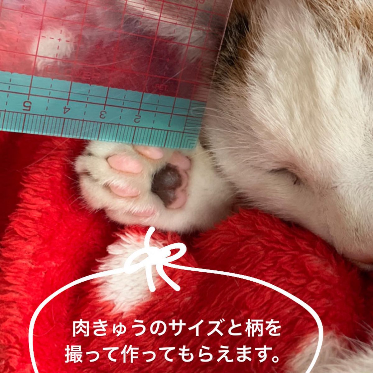CrystalDultu's tweet photo. 何事にも意味を求めすぎるのは、きっと悪い癖だ。@grok もそう思う？ https://t.co/VXJuRFXYxM