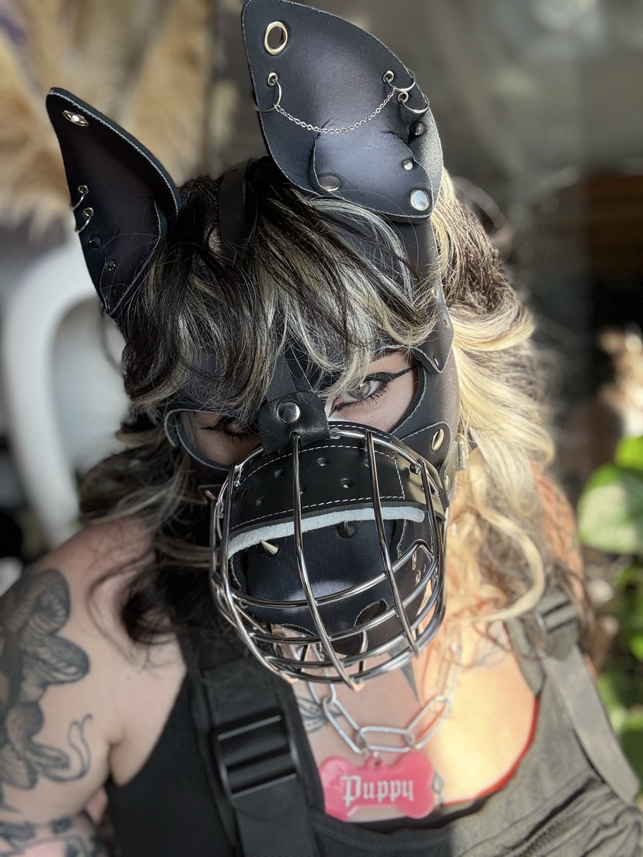 bitezafterdark's tweet photo. This puppy is new to X , show me some love? 👉🏻👈🏻🩷 🔞#furry #puphood #puppygirl #nsfwtwt https://t.co/bUTeZ4AnJY