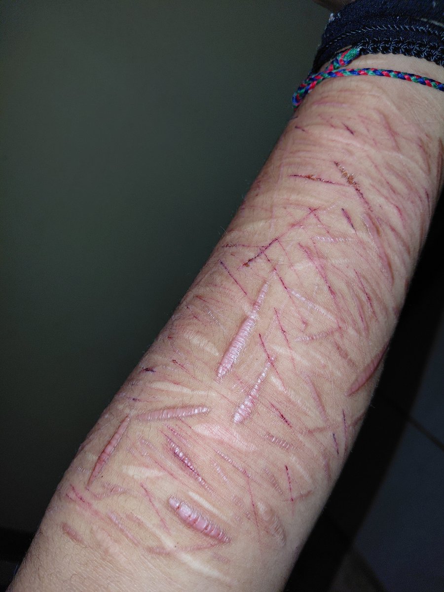 deftsie's tweet photo. maquillaje falso hiperrealista de halloween. todo falso. https://t.co/4ueCSPsk7L