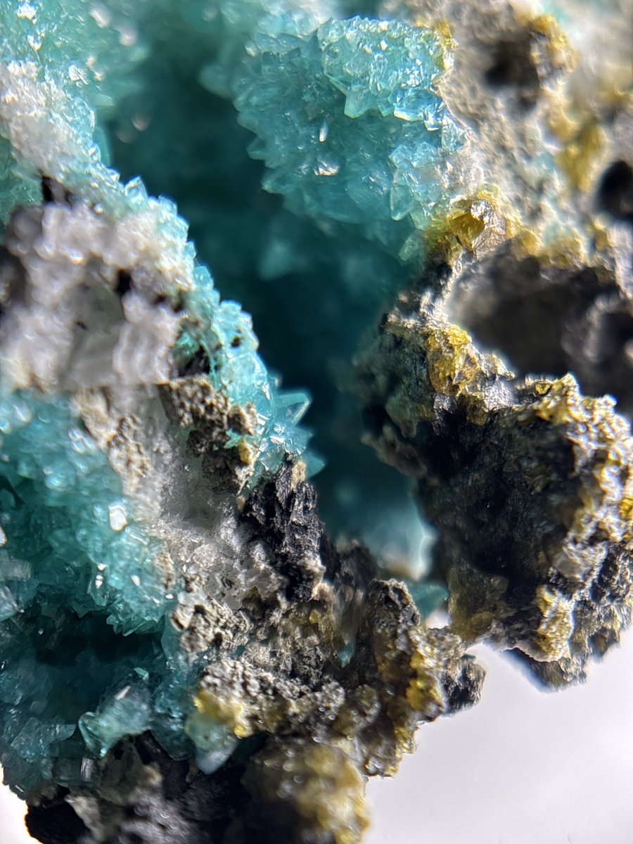 Shtone14's tweet photo. @codexminerals コーデックスさんで横浜ミネラルザワールド春でお迎えしたボルカライト
こういう��窟感ある標本が大好きだったりする。
結晶も大変美しく、トンネルもある😌
#borcarite https://t.co/4uabobulma