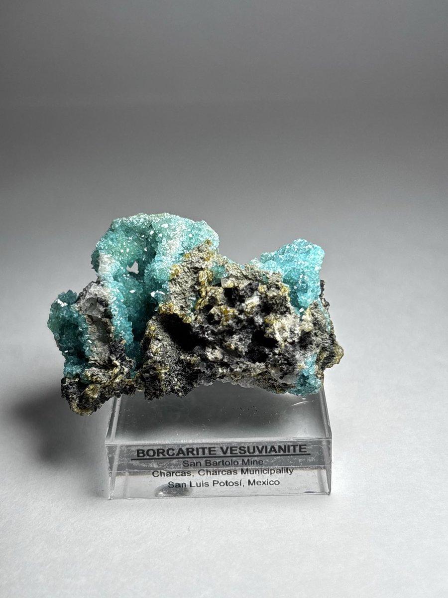 Shtone14's tweet photo. @codexminerals コーデックスさんで横浜ミネラルザワールド春でお迎えしたボルカライト
こういう��窟感ある標本が大好きだったりする。
結晶も大変美しく、トンネルもある😌
#borcarite https://t.co/4uabobulma