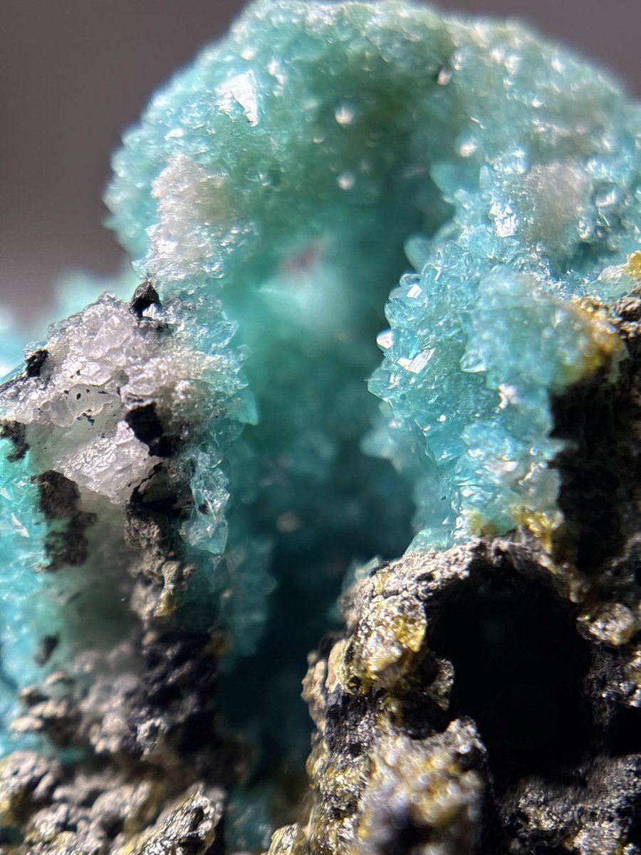 Shtone14's tweet photo. @codexminerals コーデックスさんで横浜ミネラルザワールド春でお迎えしたボルカライト
こういう��窟感ある標本が大好きだったりする。
結晶も大変美しく、トンネルもある😌
#borcarite https://t.co/4uabobulma