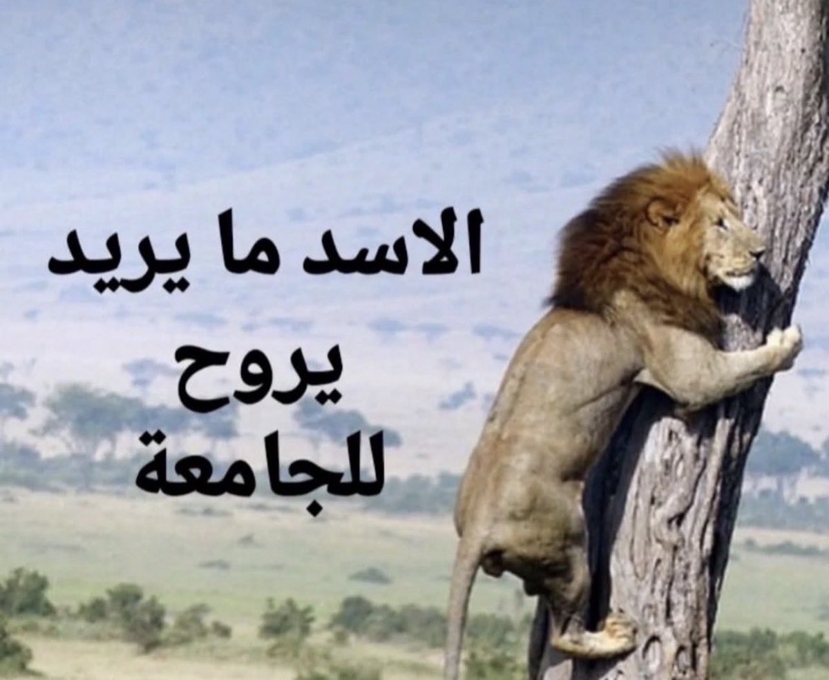 xril5_'s tweet photo. اخلاق الاحد https://t.co/pwxCiWWxBX
