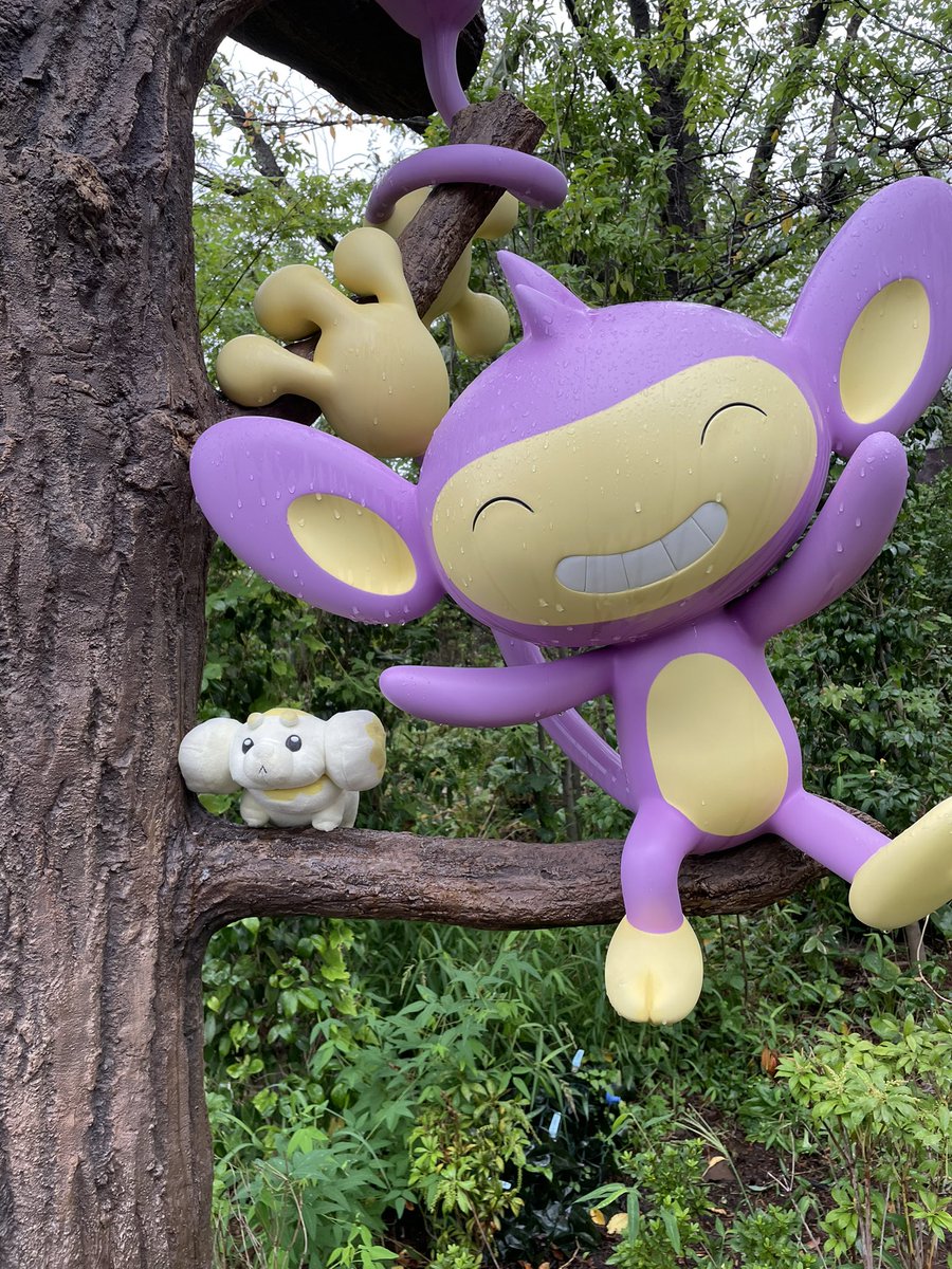 motimotipapimo's tweet photo. エイパムと2ショットモチ！🐒
木登り上手モチ！🌳 https://t.co/Qv2mYbmhk3