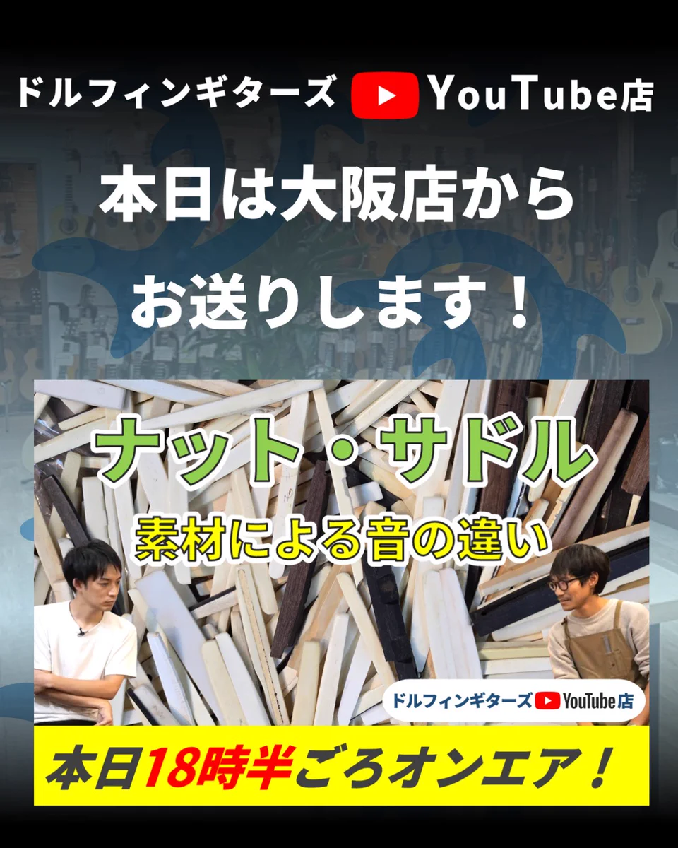 ドルフィンギターズ on X: 