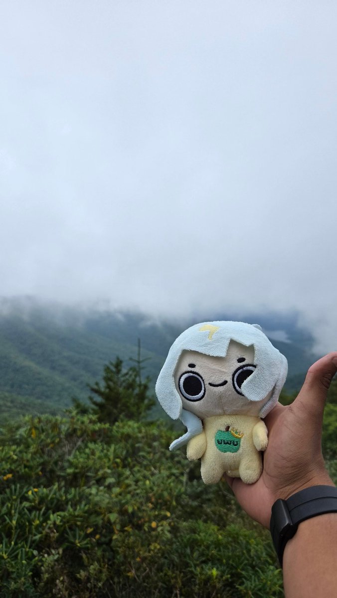 Woooossshhhh's tweet photo. I picked the worse time to travel to mount mitchell to throw a uap off a mountain, cloudy but nice weather. https://t.co/05m0MhhpZ8