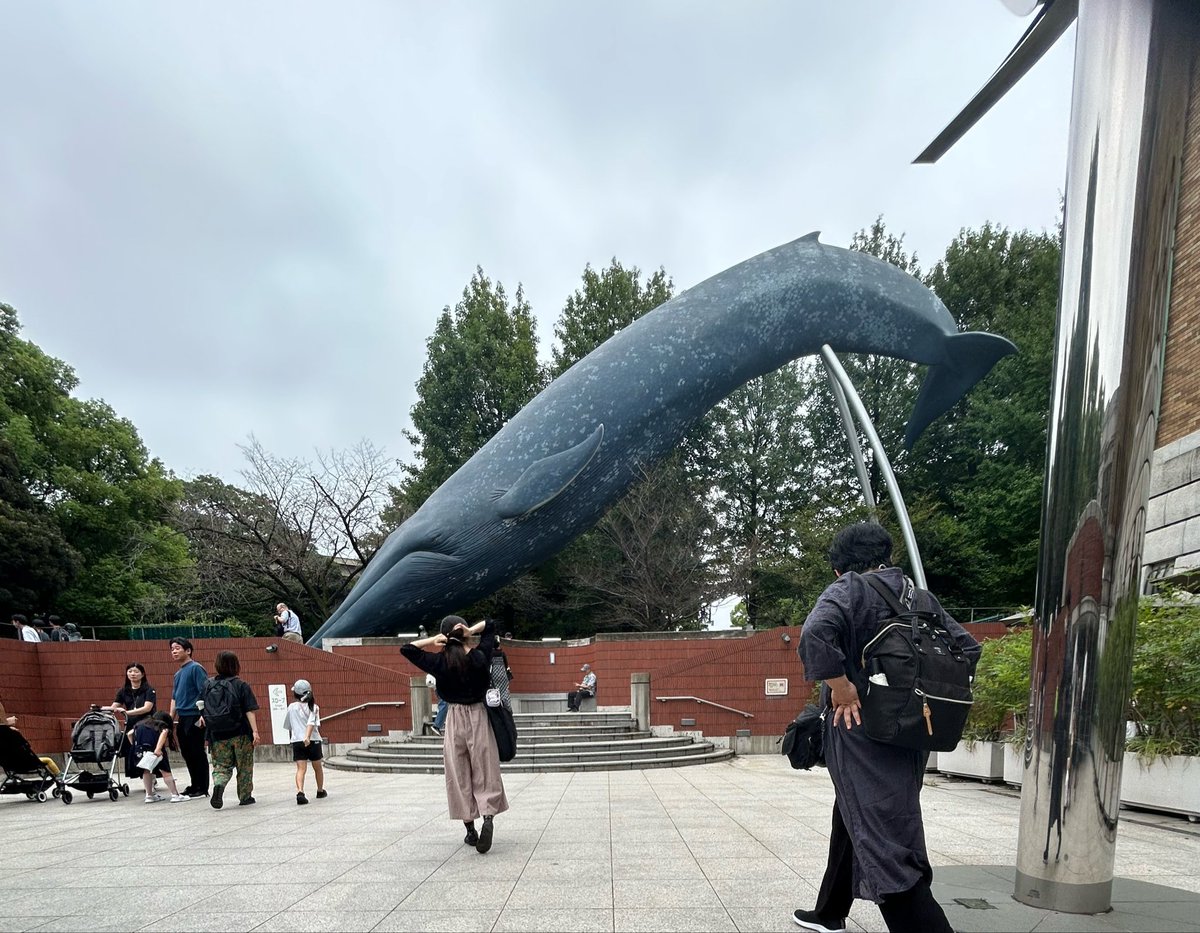 piccoro116's tweet photo. 娘と2人で科博へ。シロナガスクジラを購入してきた。ダーウィン展は後日息子と再度。 https://t.co/UEwzt7qxIt