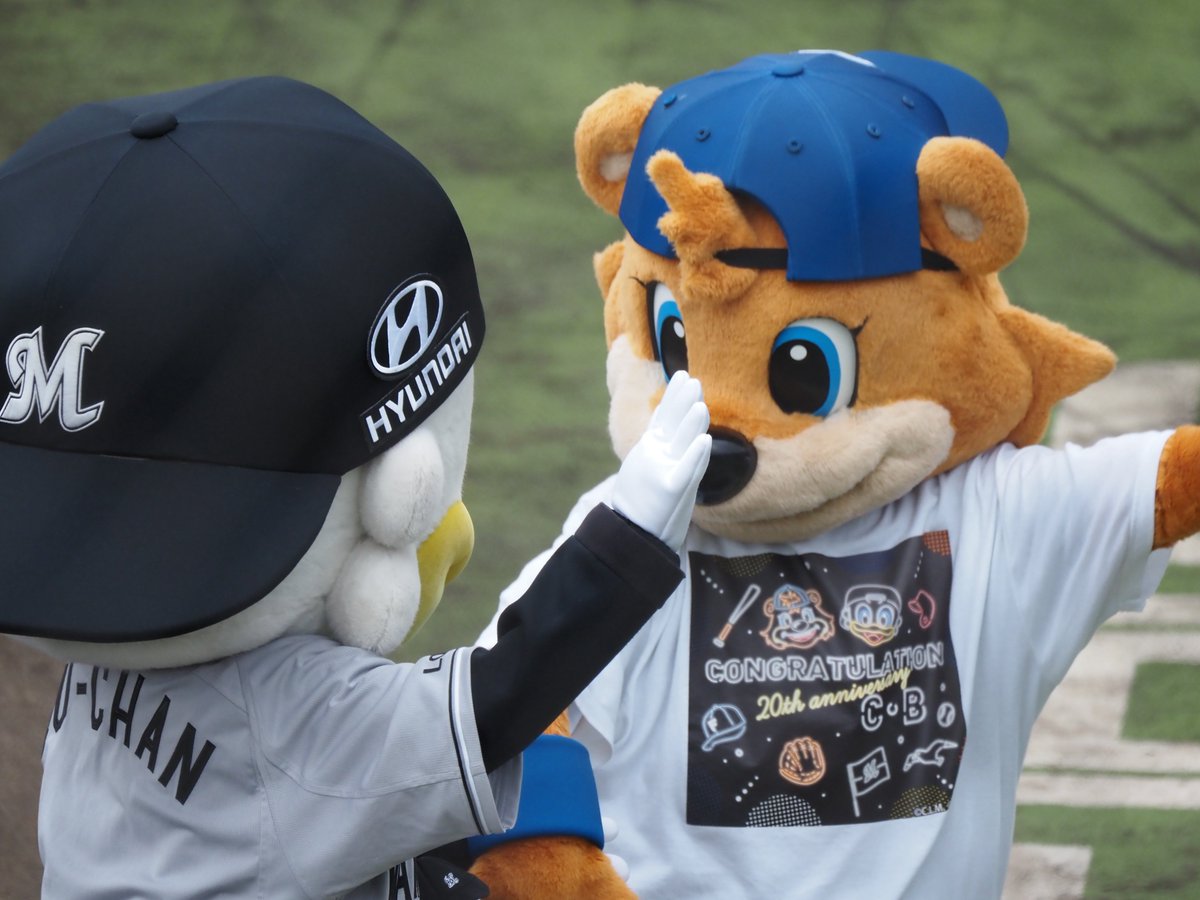 ai__hnf's tweet photo. カビーとズーちゃん、かわいいのよ https://t.co/KmrIQcwqHL