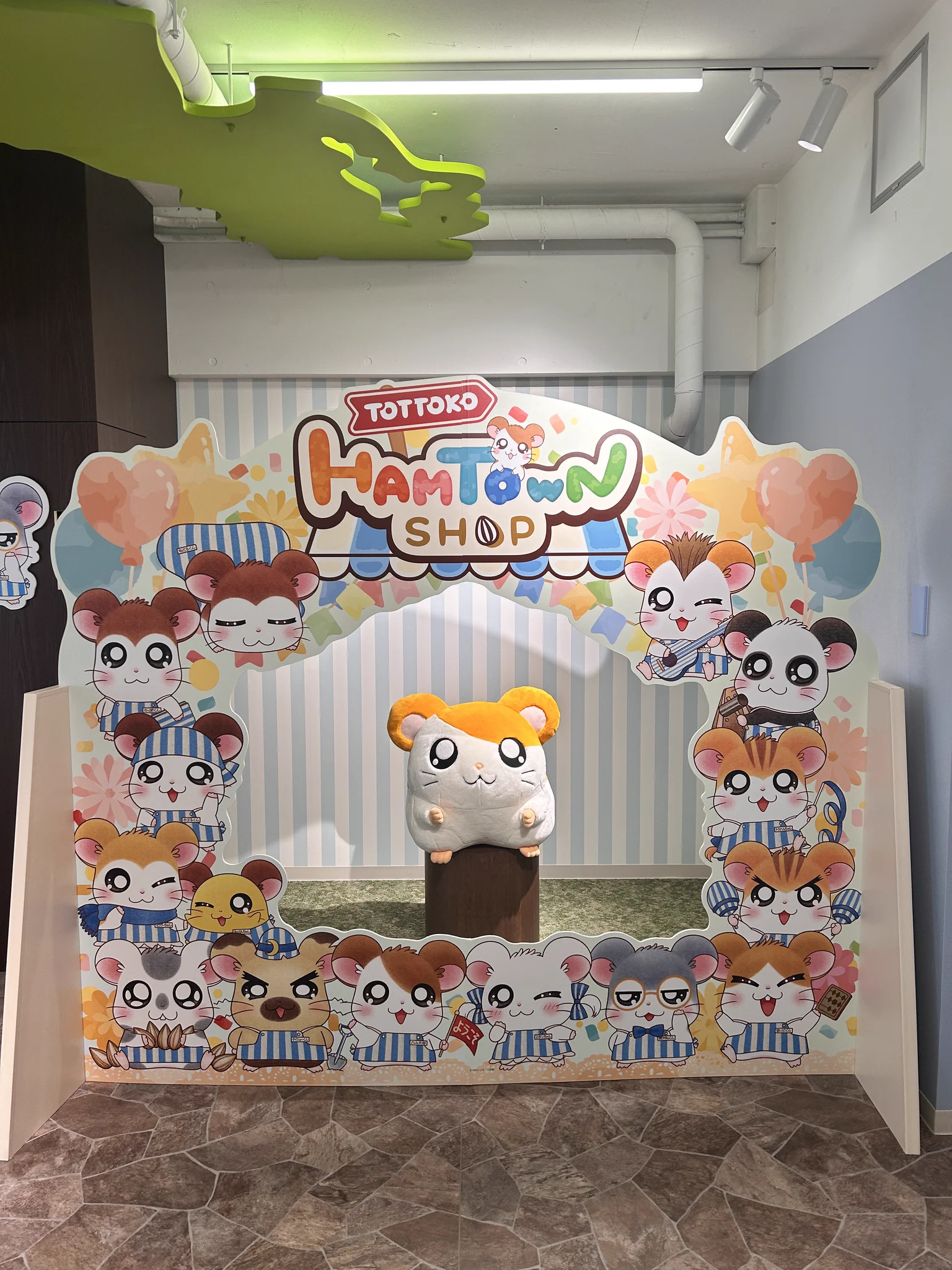 ゆめはむちゃん🐹 on X: 