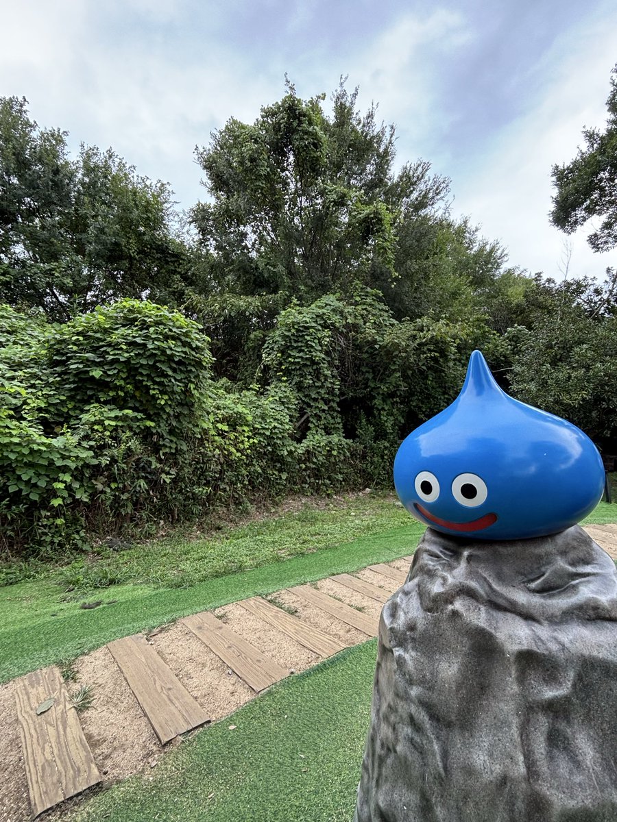 H0iTodoroki's tweet photo. #ドラゴンクエスト
#ニジゲンノモリ
#DQ_ISLAND
#淡路島 https://t.co/zFbhB5YUiy