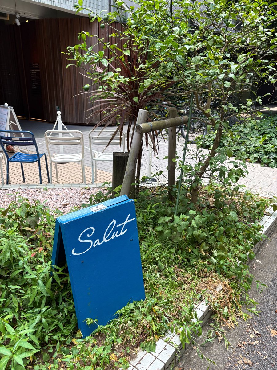 syoku2tabigohan's tweet photo. 🍽️BRASSERIE Salut

北参道駅から徒歩2分。
お目当ては夏季限定のトウモロコシのパンケーキ🌽🥞
周りのお客さんもほとんど頼んでいました😳
甘じょっぱくてすごく美味しかった〜！！見た目はボリューム満点なのに、ふんわり軽くて意外とペロリと食べられます😋 https://t.co/Gr2yaSQYMz