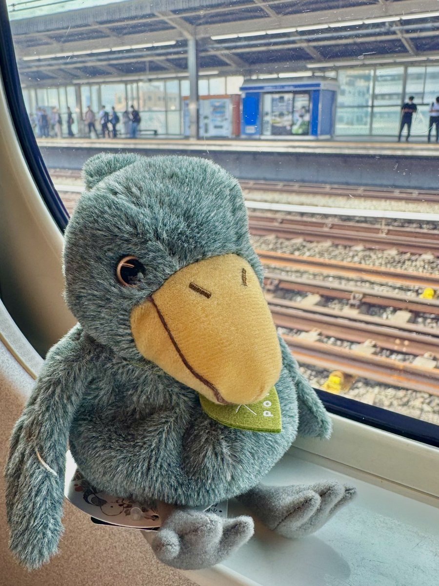torisan_camera's tweet photo. 満喫している！
何年振りの一人旅！！
ハシビロコウ全然動かなかった
さすが！！！！また来るよ https://t.co/HkgcrwWbee