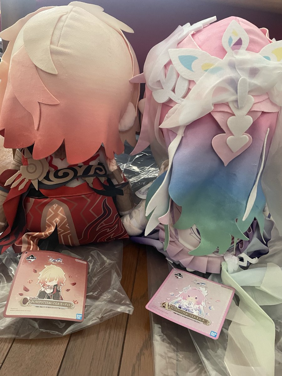 saaahyon's tweet photo. スタレくじ10回で1番狙ってたモスぬい当てたのは神すぎた😇✨️
ランダムも1つモスが出てビビった……
後ろ姿もタグも可愛い( ꜆⌯' '⌯)꜆♡ https://t.co/cqGtVtflWd