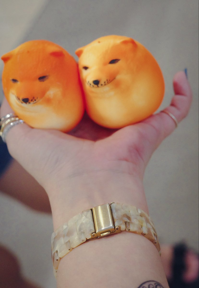 OSYAM91's tweet photo. ダブルしばこ 可愛すぎる https://t.co/L6ygSpprTx