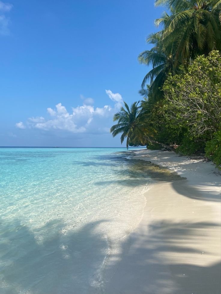 TravelBucketX's tweet photo. Maldives 🇲🇻 https://t.co/Sd8v4uVsdW