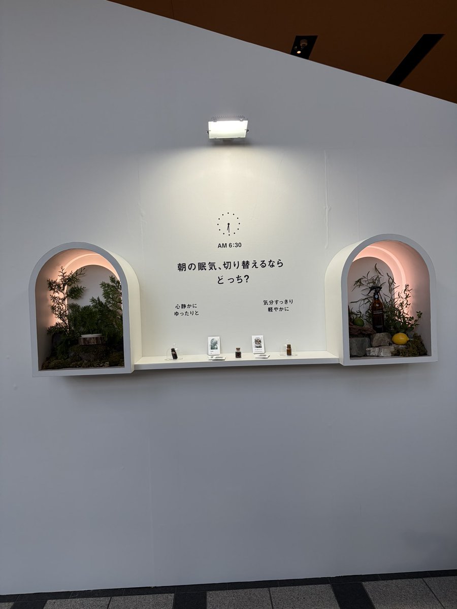 CHIKALISH's tweet photo. 香りのイメージの湧く展示会へ

#暮らしと香りのスイッチ展 https://t.co/5SYynIvJBH