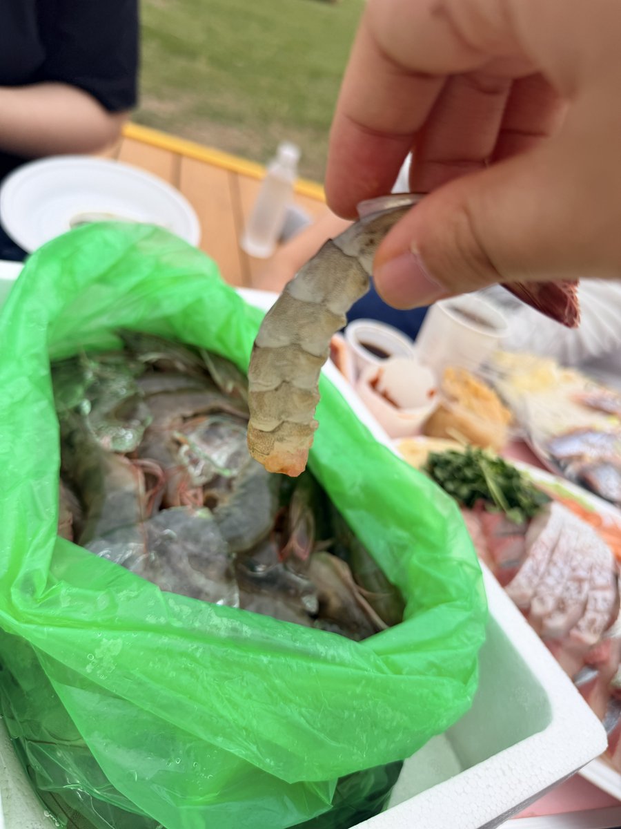 dachshunddLT's tweet photo. 지금 한강가야함 진짜
노량진에서 회포장하고 생새우사서 까먹고 
생새우남은거 한강라면에넣어서 익혀먹으면 3배로즐길수있음 진짜….. 

그리고배뚜둘기면서 낮잠자면됨 https://t.co/xlWuwWwYbK