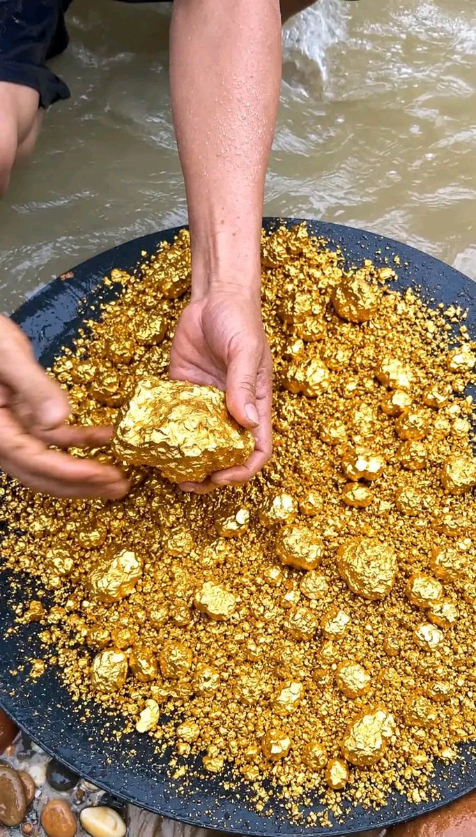 ibbcoolcash's tweet photo. Massive Natural Gold Nugget In My Hand - Real Gold Found! Get a crystal stone wrapped in pure gold

#Goldnugget #Networking https://t.co/3uy4zHpWcD