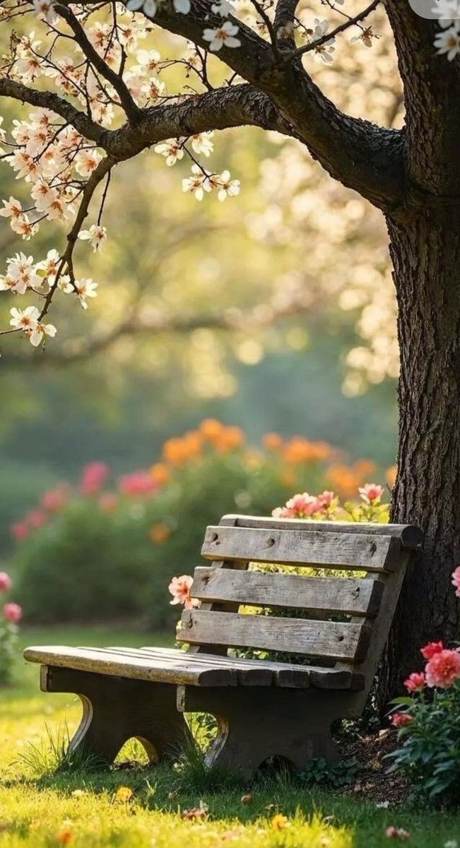 khalida00887854's tweet photo. الحمدلله على كل يوم
          يأتي ونحن بكامل عافيتنا...

    💛 صـــباح الخـــير 💛 https://t.co/vtdUFaOzxz