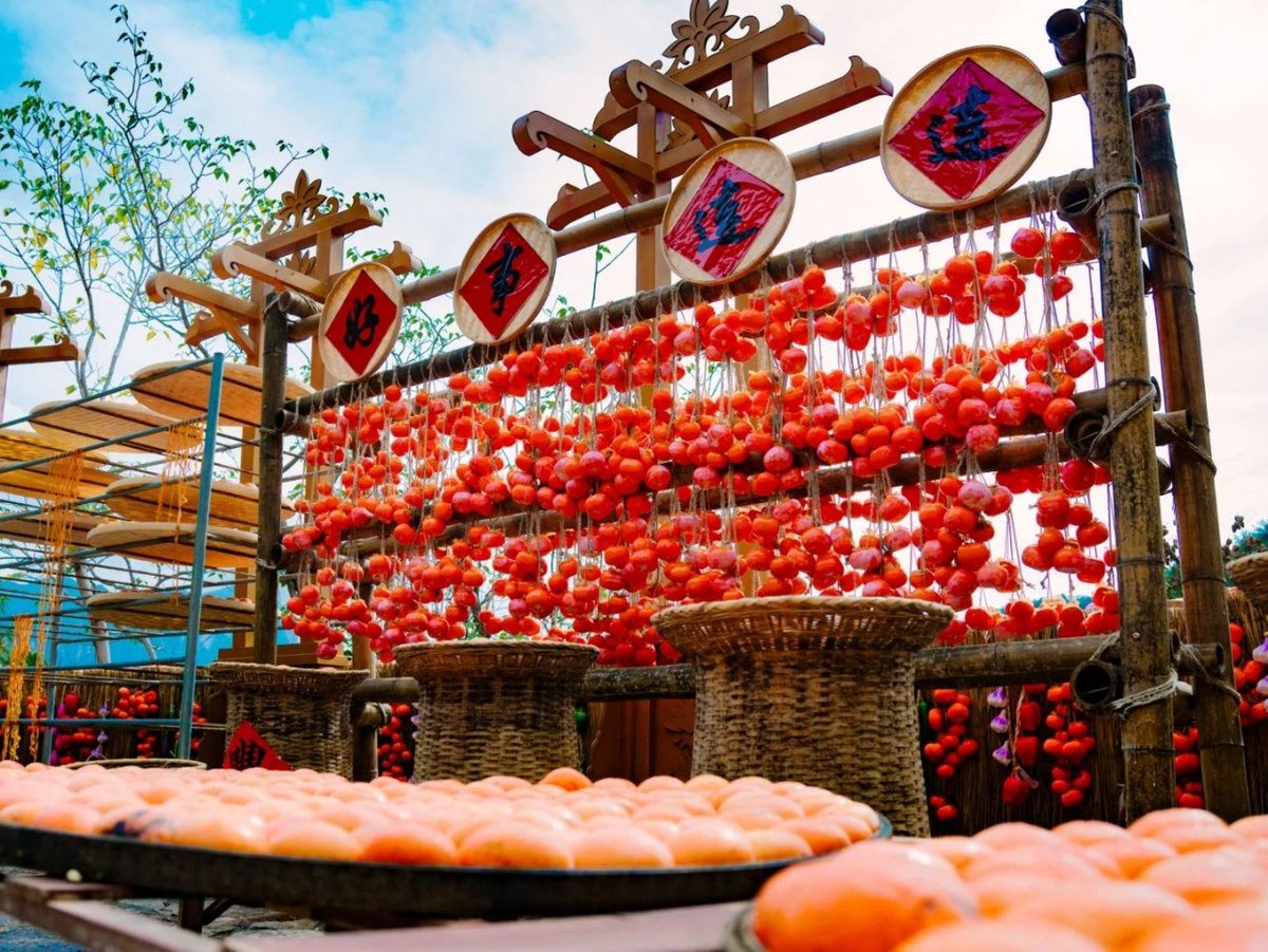 zzg131619's tweet photo. 山西乡宁，云丘山的柿子红了。The persimmons are ripe at Yunqiu Mountain in Xiangning, Shanxi #山西 #China #中国 #Shanxi #Xiangning #LInfen
#乡宁 https://t.co/4yazTVV2IX