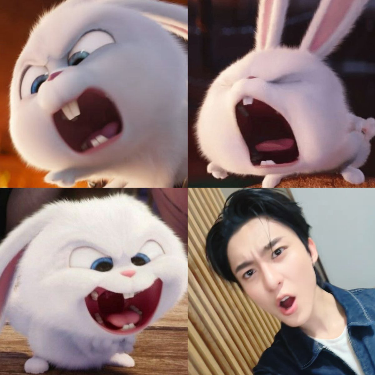 ssoyeonice's tweet photo. มูหูม้ากกก ไม่ได้ดั่งใจหนูเยย ٩(ˋᗣˊ*)و 💢

; #rryjinnn https://t.co/E5vSF4g4fg