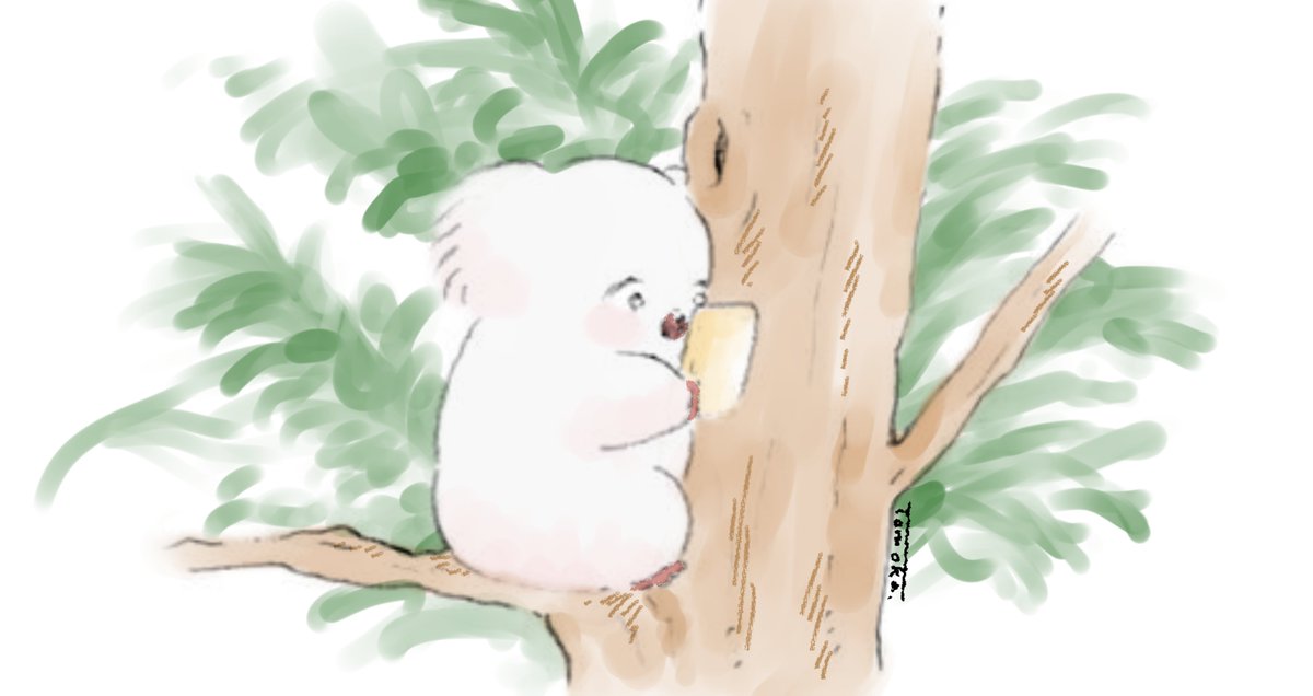 Tomoka1188's tweet photo. 気になるユーカリはスマホで撮影しておくコアラ🌿

#コアラ #イラスト https://t.co/Po54vPUBSP