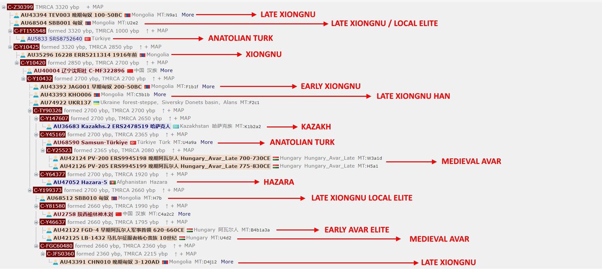 nomadicbeg's tweet photo. @OrgilBayarbat @Meloo_Twist @ochirdar The Xiongnu were indisputably Turks. This is clear in terms of genetics, linguistics and historical continuity. The ancestors of the Mongols were the Donghu, and the Xiongnu destroyed them. Please don't be ashamed of these facts. https://t.co/Jn0a2MdJ0A