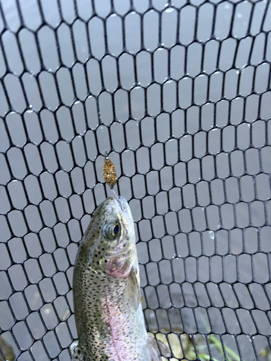 Come012's tweet photo. 中之沢でコソ練
今日はコンスタントに釣れたから
楽しかった https://t.co/hq1i0IsGL9