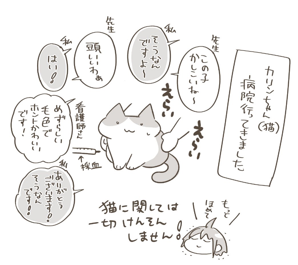mamuchimu's tweet photo. お薬がんばるぞ🤗✨🐱✨ https://t.co/6iJSr78Tbk