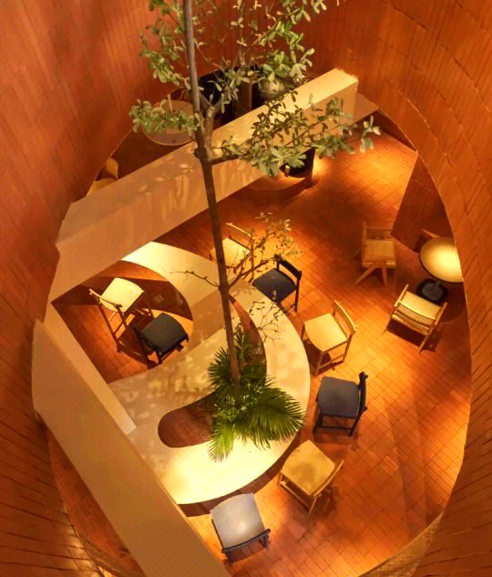 DoyleCoor's tweet photo. Just tried the new immersive café that turns every sip into a tiny adventure—aroma vibes, interactive tables, and zero boring moments. 10/10 for a fresh pick-me-up! https://t.co/vcY24hIuCt